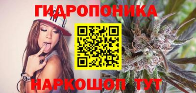 гашик Ликино-Дулёво